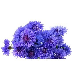 Flowers Confetti Edible