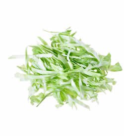 Cabbage Shredded Green