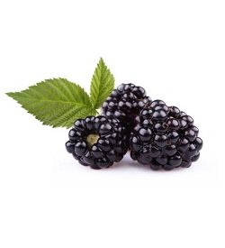 Berries Black