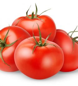 Tomatoes Hydro