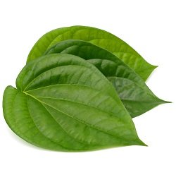 Betel Leaves