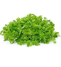 Chervil