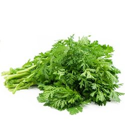 Chrysanthemum Leaves