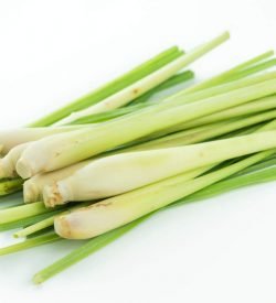 Lemon Grass