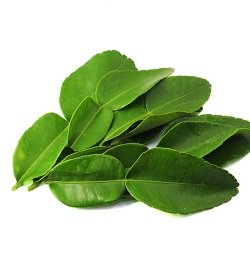 Lime Leaves