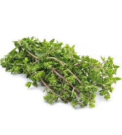 Marjoram