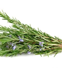 Rosemary