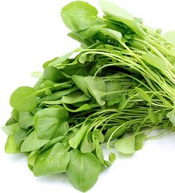Watercress