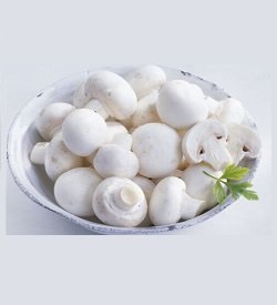 Mushrooms ButtonCup 2nds