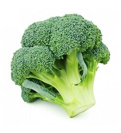 Broccoli