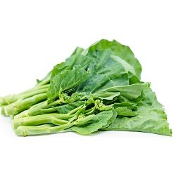 Broccoli Chinese Gai Lan