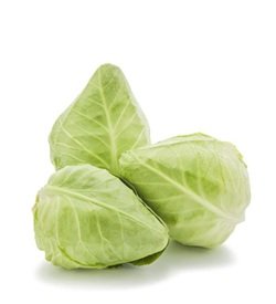Cabbage Sugarloaf