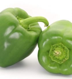 Capsicum Green Comps