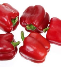 Capsicum Red Comps