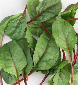 Chard Leaves