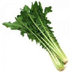Chicory