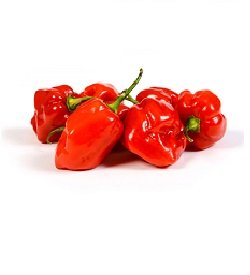 Chillies Habanero