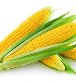 Sweet Corn