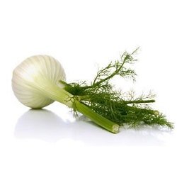 Fennel Baby