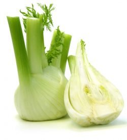 Fennel Large