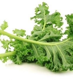 Kale Curly Green