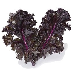 Kale Curly Purple