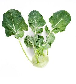 Kohlrabi