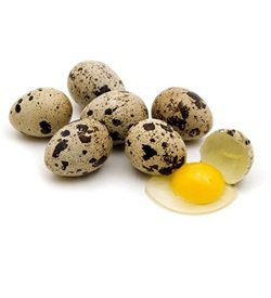 Eggs Quail
