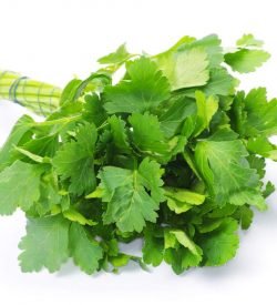 Parsley Chopped Continental