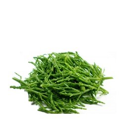 Natives Samphire