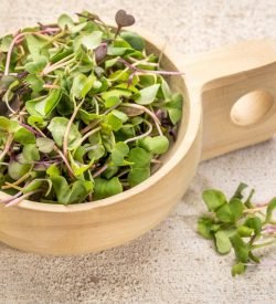 Micro Herb Mix