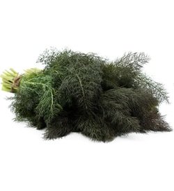 Foliette Bronze Fennel