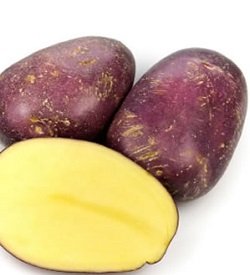 Potatoes Royal Blue