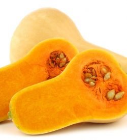 Pumpkin Butternut