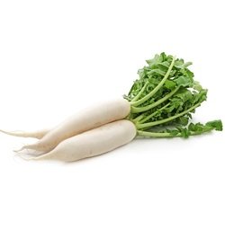 Radish Daikon