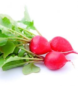 Radish Red