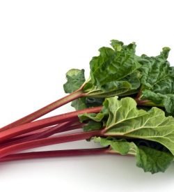 Rhubarb