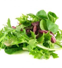 Salad Mix Gold