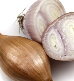 Shallots Brown