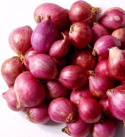 Shallots Red