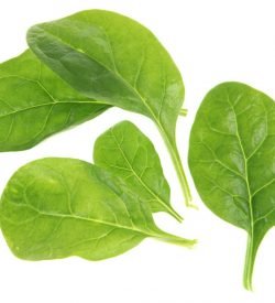 Spinach Baby
