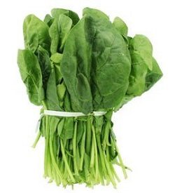 Spinach English