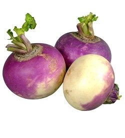 Turnips