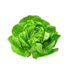 Lettuce Butter