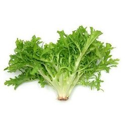 Lettuce Frisee
