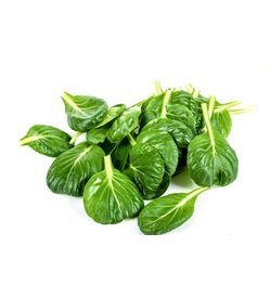 Lettuce Tatsoi