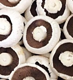 Mushrooms Breakfast Flats