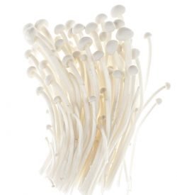 Mushrooms Enoki