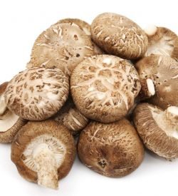 Mushrooms Shiitake