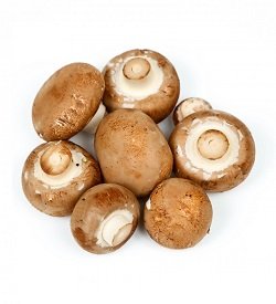 Mushrooms Swiss Cups